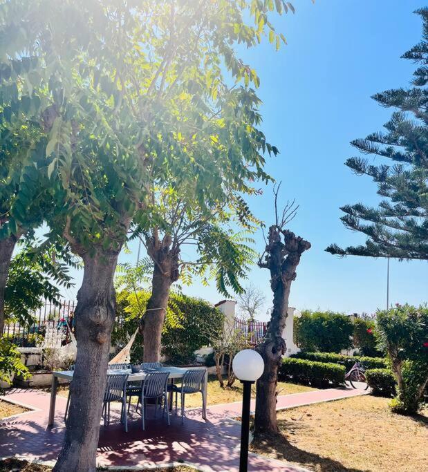 Le Dimore Di Maria Manfredonia Dış mekan fotoğraf